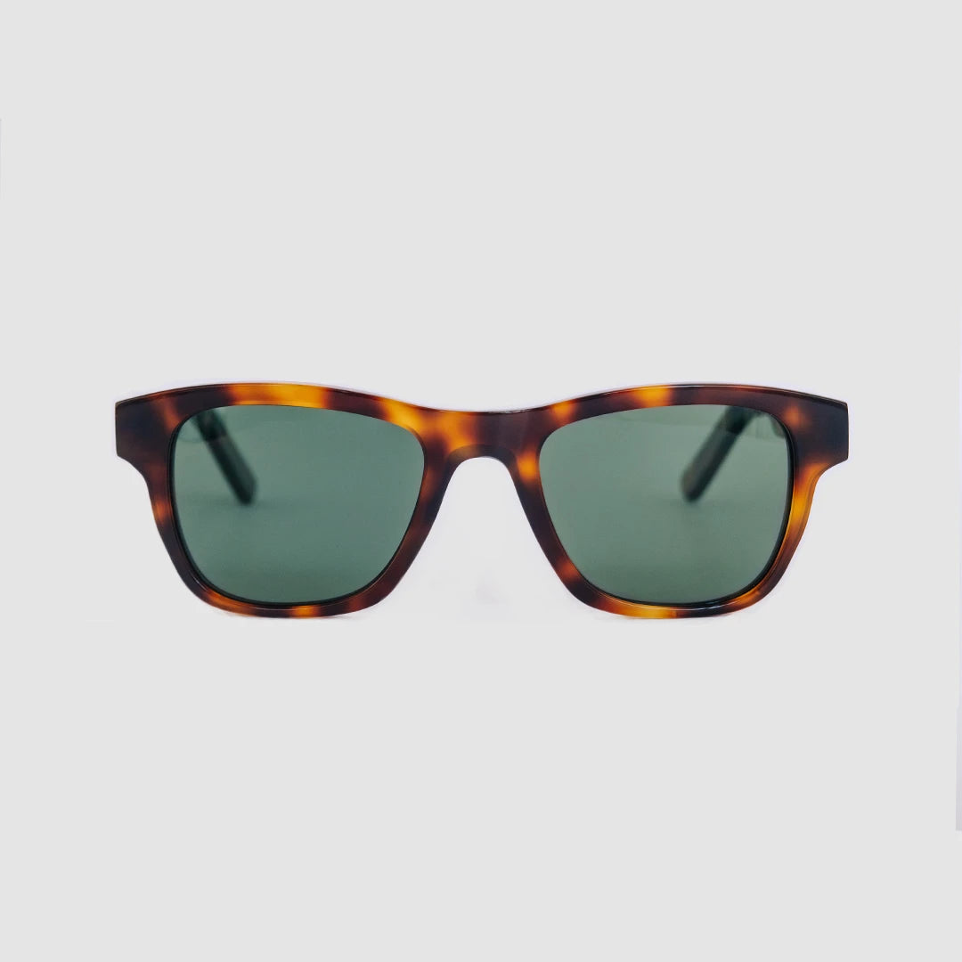 FAIRVIEW Tortoise