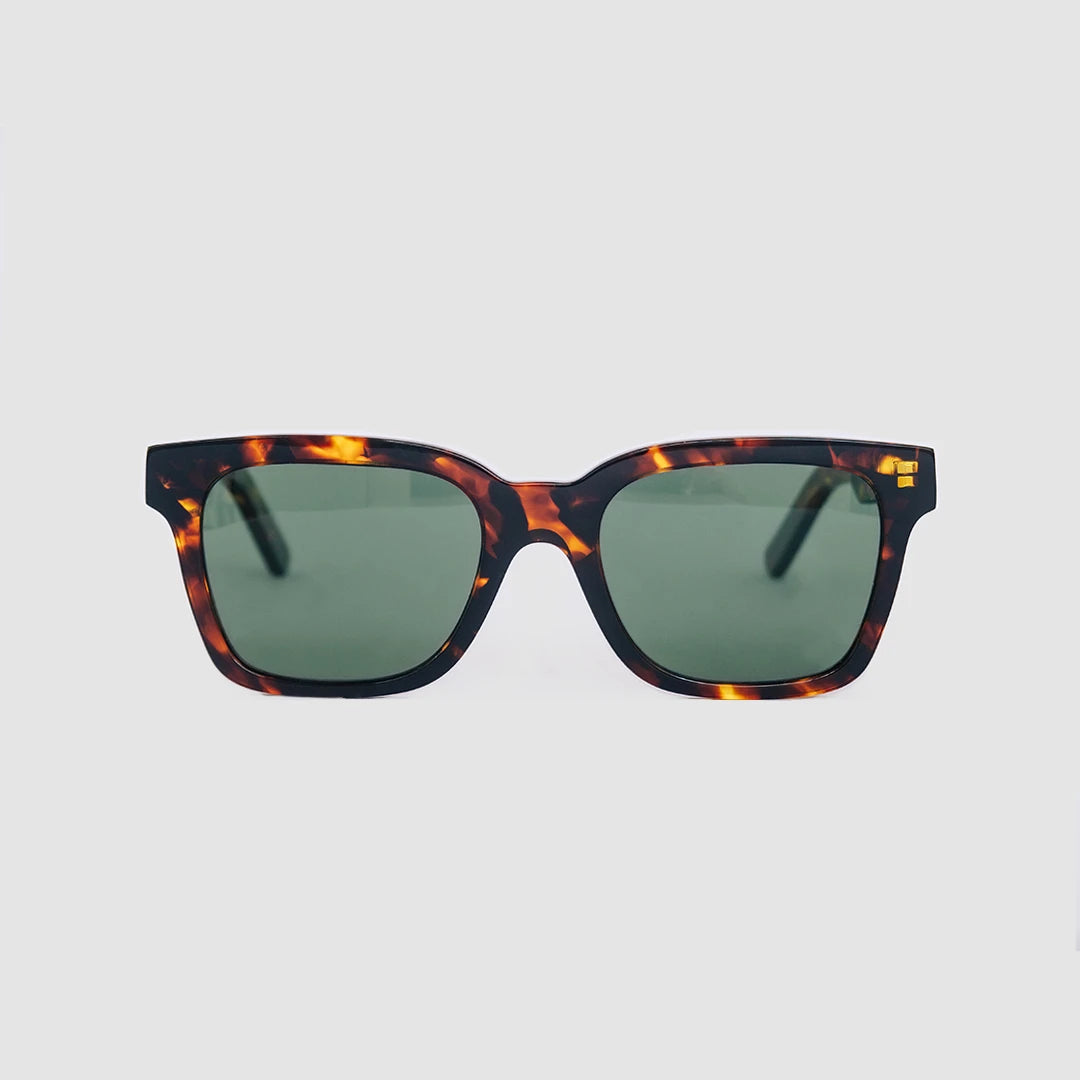 BOYLAN Tortoise