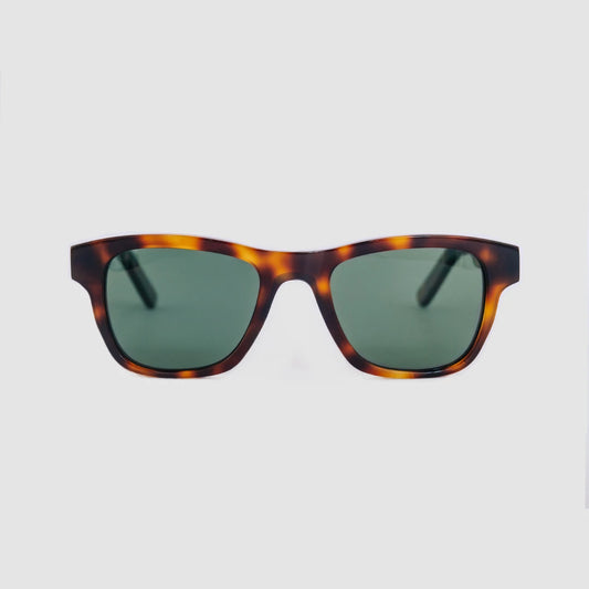 FAIRVIEW Tortoise